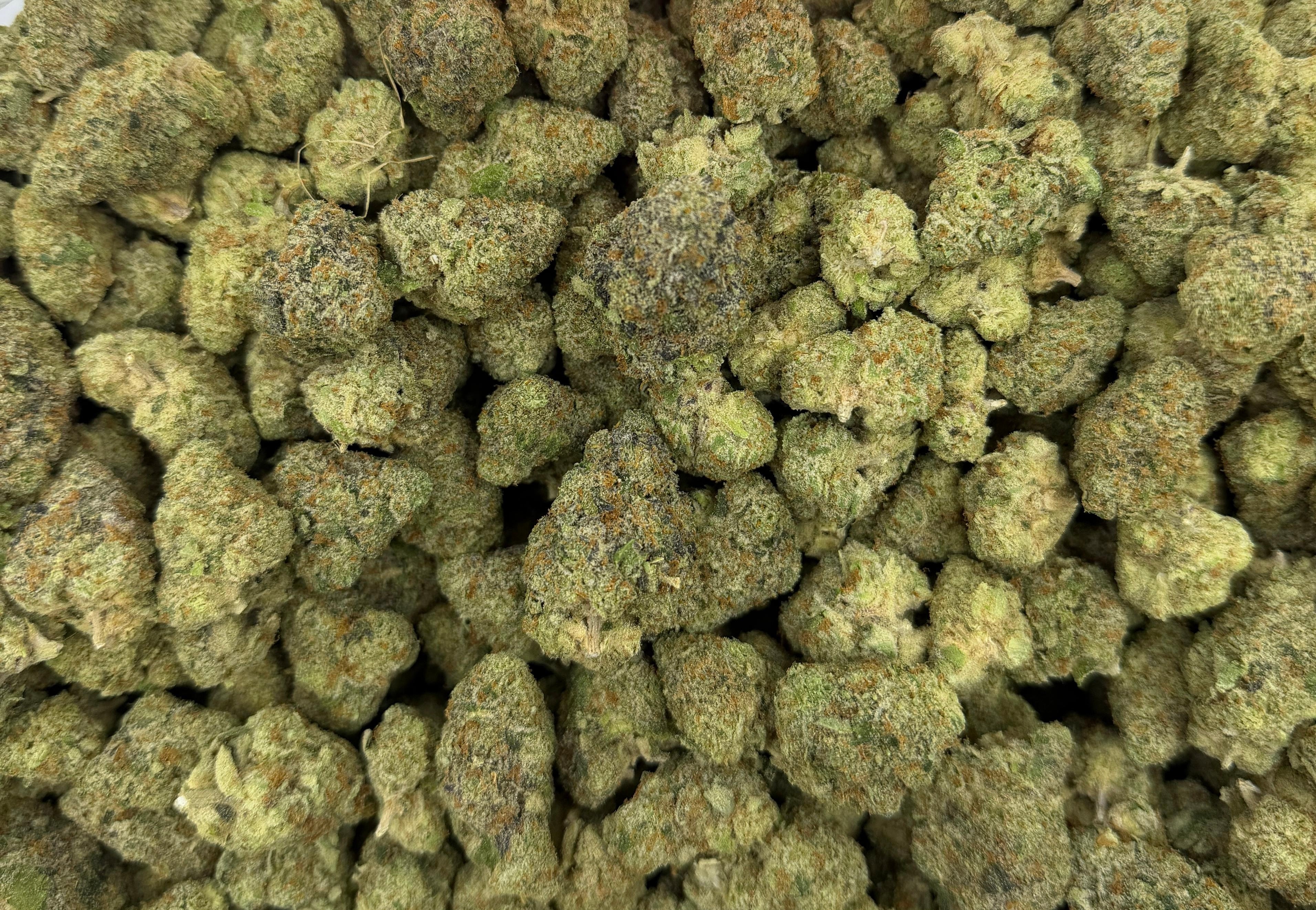 Obama Limonada - Hybrid - THC Flower