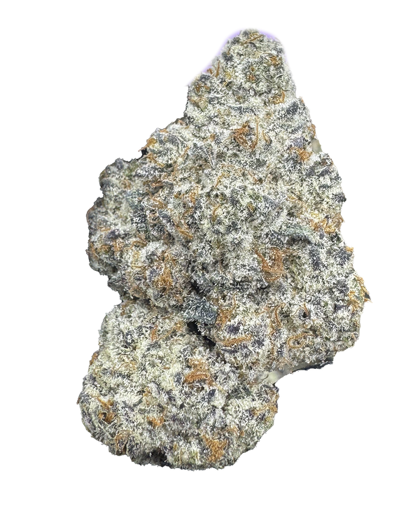 White Truffle - Hybrid - THCp Flower