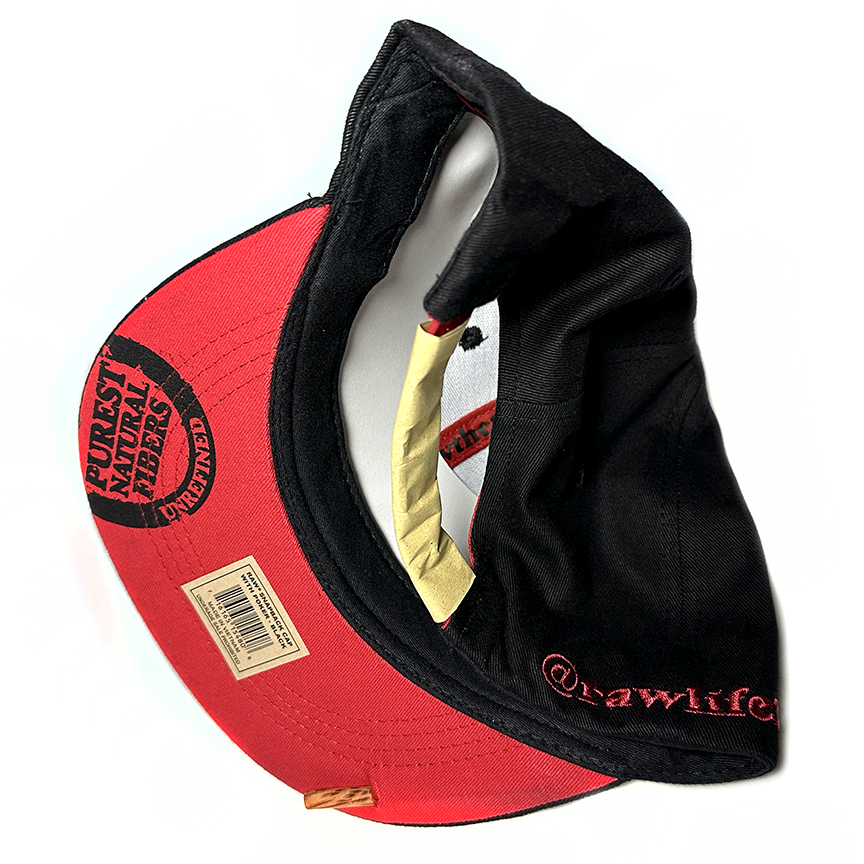 RAW Snapback Hat
